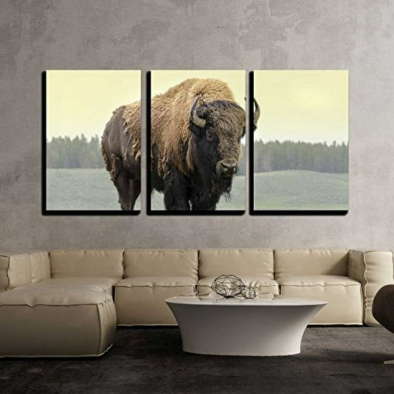 wall26 Canvas Print Wall Art Set Yellowstone National Park Grasslands Bison Animals Wildlife Photography Modern Art Rustic Scenic Nature Chic Colorful for Living Room, Bedroom, Office - 16"x24&q