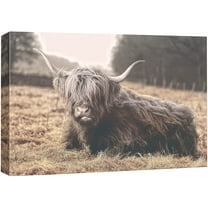 wall26 Canvas Print Wall Art Shaggy Brown Ox Laying in Farm Field Animals Wilderness Photography Realism Rustic Scenic Relax/Calm Multicolor for Living Room, Bedroom, Office - 32"x48"