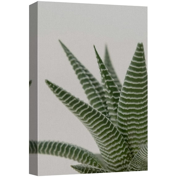 wall26 Canvas Print Wall Art Southwest Rustic Desert Striped Snake Plant Nature Wilderness Photography Realism Floral Botanical Multicolor for Living Room, Bedroom, Office - 16"x24"