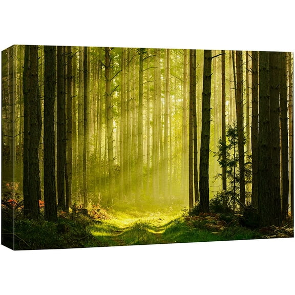 wall26 Canvas Print Wall Art Springtime Summer Sunlight Green Forest Nature Wilderness Photography Realism Earth Scenery Rustic Scenic Landscape Colorful for Living Room, Bedroom, Office - 24"x3