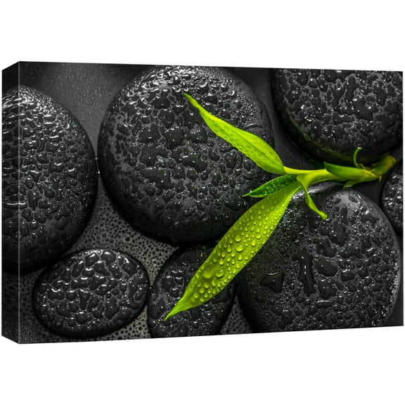 wall26 Canvas Print Wall Art Sprouting Green Plant Over Dark Black Stones Floral Nature Photography Realism Bohemian Scenic Relax/Calm Cool for Living Room, Bedroom, Office - 24"x36"