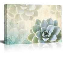 wall26 Canvas Print Wall Art - Succulent Plants on Retro Style Background - Gallery Wrap Modern Home Art | Ready to Hang - 16x24 inches