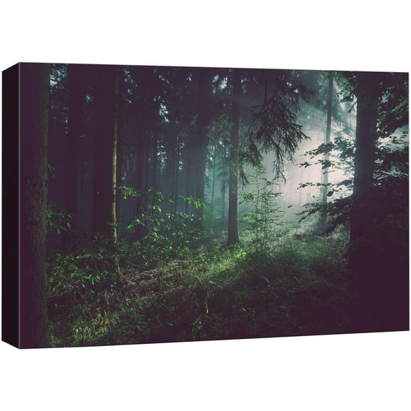 wall26 Canvas Print Wall Art Sunlight Passing Through Green Forest Nature Wilderness Photography Modern Art Rustic Scenic Colorful Multicolor for Living Room, Bedroom, Office - 12"x18"