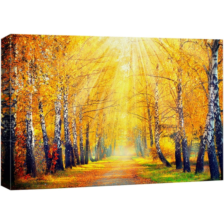 Designart Road In Beautiful Autumn Forest- Modern Forest Canvas Art PT13941-40-30 At - Foto 9