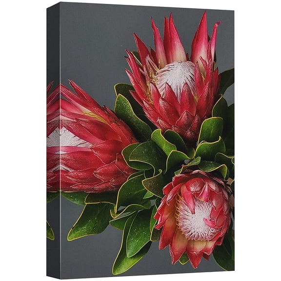 wall26 Canvas Print Wall Art Tropical Bright Red Flowering Cactus Succulent Nature Wilderness Photography Realism Floral Botanical Multicolor for Living Room, Bedroom, Office - 16"x24"