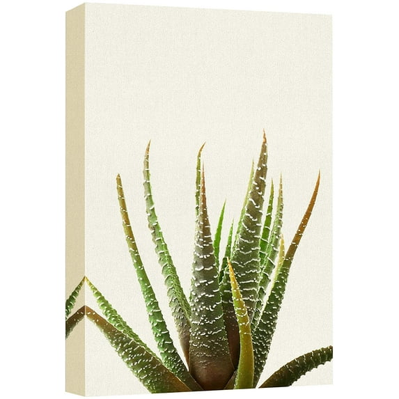wall26 Canvas Print Wall Art Tropical Desert Southwest Striped Snake Plant Nature Wilderness Photography Realism Floral Botanical Multicolor for Living Room, Bedroom, Office - 12"x18"