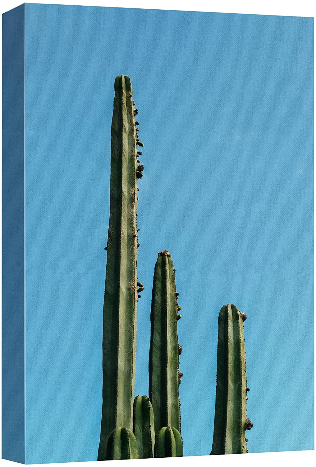 wall26 Canvas Print Wall Art Tropical Green Mexico Desert Cactus ...