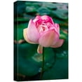 thumbnail image 1 of wall26 Canvas Print Wall Art Vibrant Close Up Pink Floral Water Lily Lake Nature Wilderness Photography Realism Decorative Yoga Multicolor Relax/Calm Zen for Living Room, Bedroom, Office - 12"x1, 1 of 5