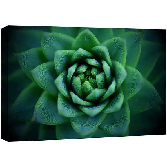 wall26 Canvas Print Wall Art Vibrant Neon Green Spiral Aloe Succulent Nature Floral Photography Realism Botanical Wilderness Zen Rustic Colorful Decorative for Living Room, Bedroom, Office - 16"