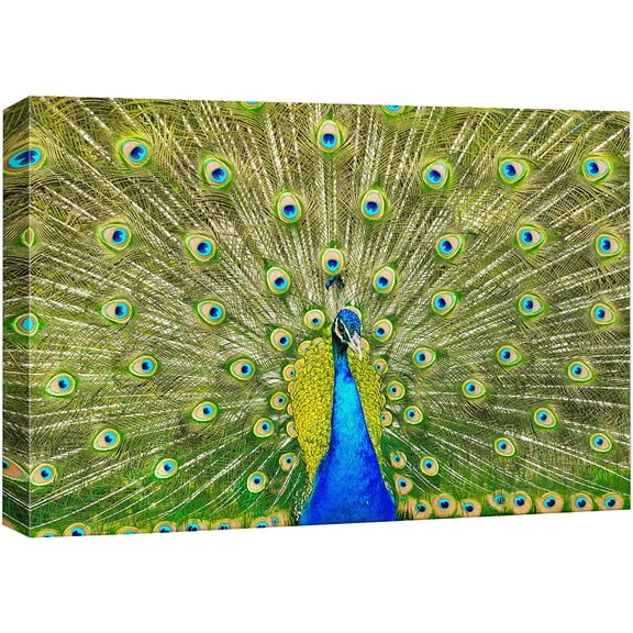 wall26 Canvas Print Wall Art Vibrant Neon Peacock Bird Feather Portrait Nature Animals Photography Realism Rustic Scenic Landscape Wilderness Zen Colorful for Living Room, Bedroom, Office - 12"x
