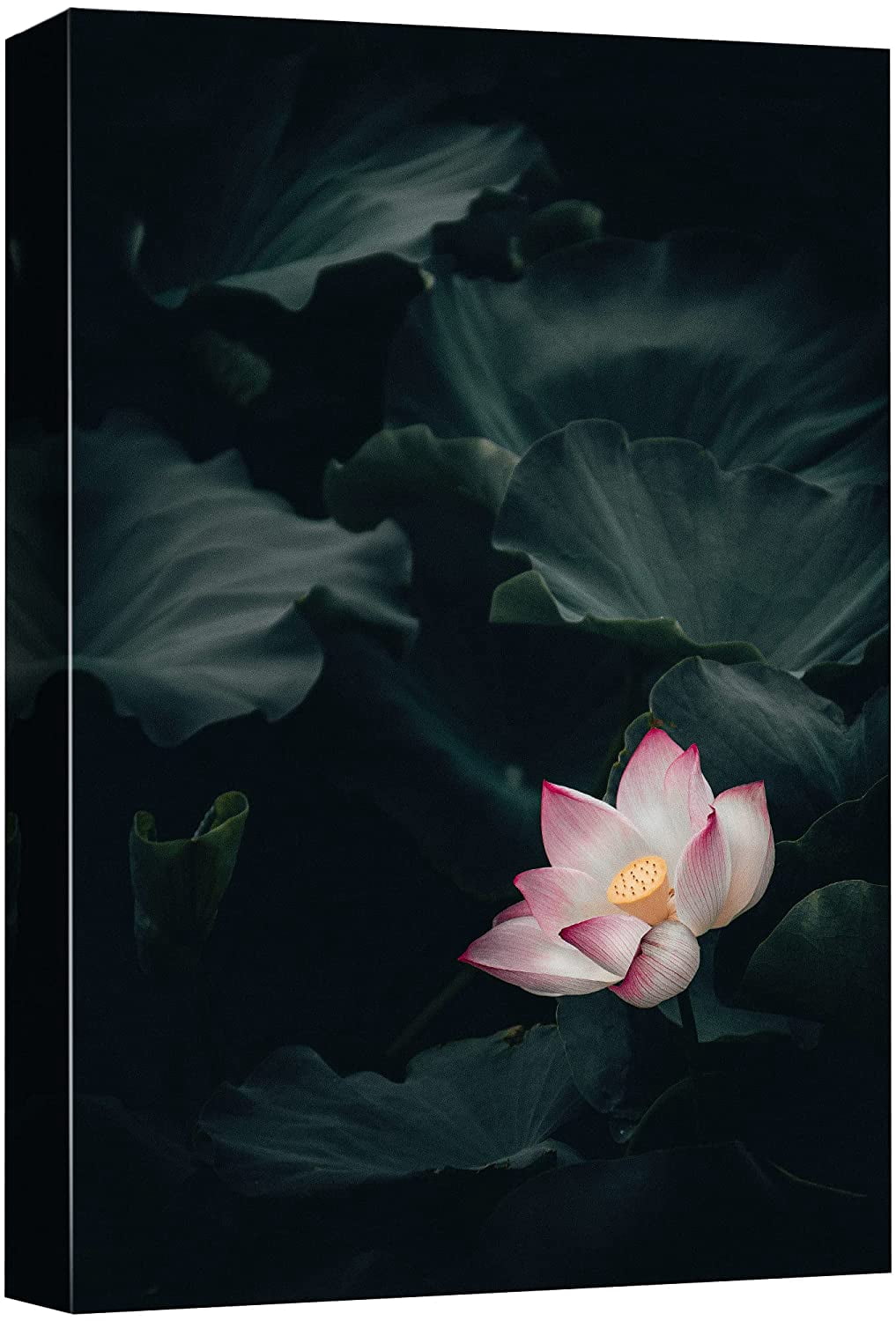 wall26 Canvas Print Wall Art Vibrant Pink Botanical White Lily Jungle ...