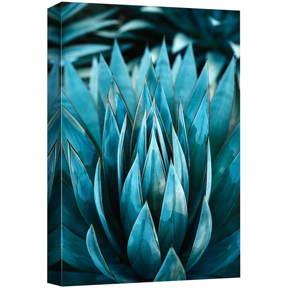 wall26 Canvas Print Wall Art Vibrant Teal Blue Southwest Desert Succulent Nature Wilderness Photography Realism Floral Botanical Multicolor for Living Room, Bedroom, Office - 32"x48"
