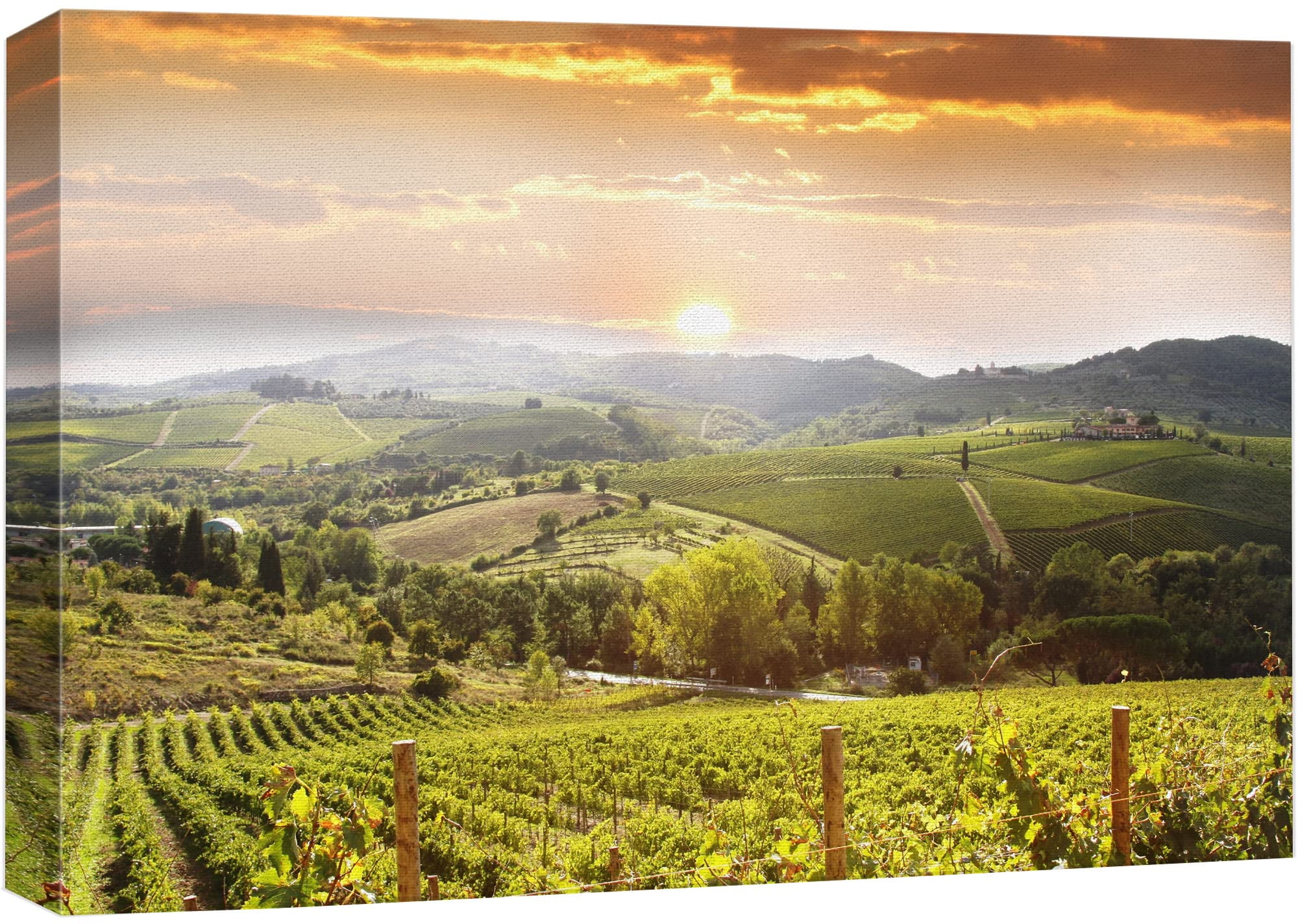 Tuscany Vineyard Landscape Canvas Print in Warm Tones
