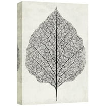wall26 Canvas Print Wall Art Vintage Transparent Black & White Leaf Floral Botanical Illustrations Realism Chic Scenic Relax/Calm Multicolor Cool for Living Room, Bedroom, Office - 16"x24&qu