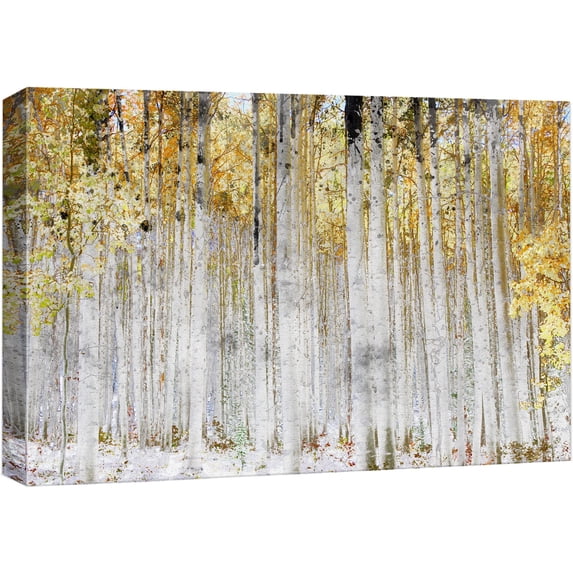 wall26 Canvas Print Wall Art White Birch Tree Forest with Yellow Leaves Nature Wilderness Mixed Media Modern Art Rustic Landscape Relax/Calm Multicolor for Living Room, Bedroom, Office - 16"x24&