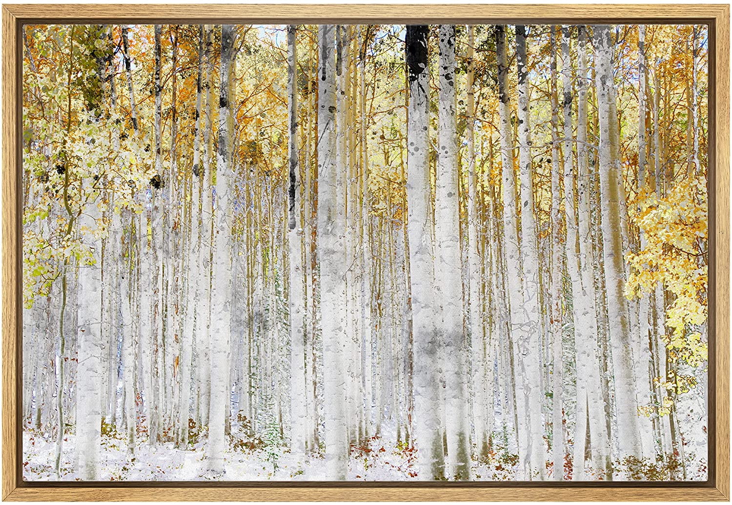 Yellow and White Birch Tree Forest Canvas Art in 24" x 36" Frame