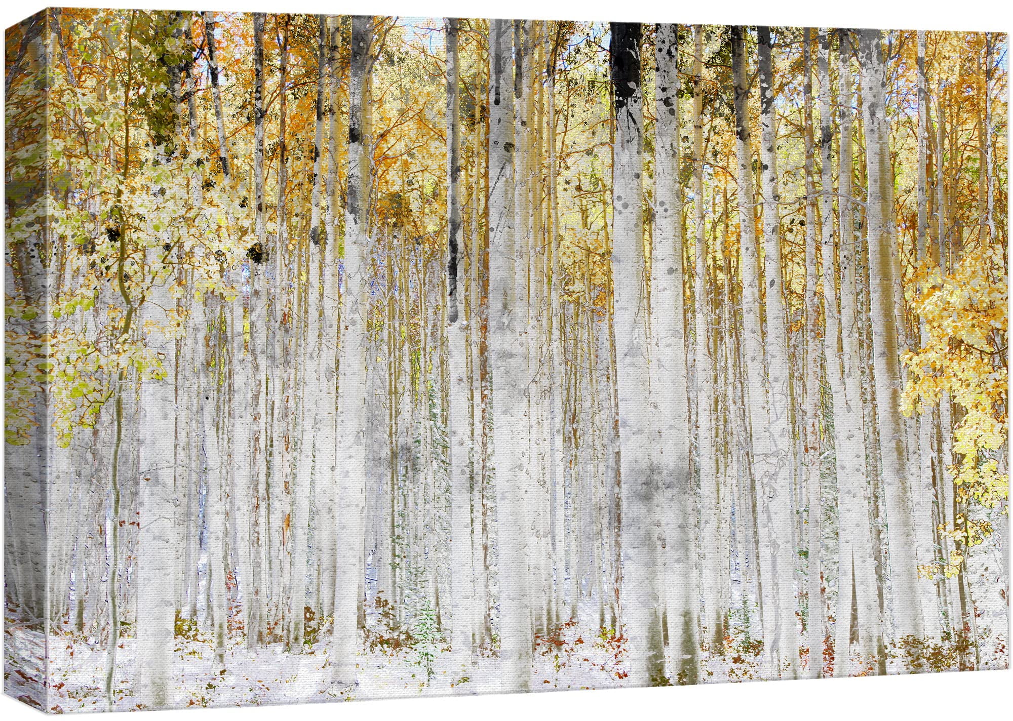 Yellow and White Birch Tree Forest Canvas Art in 24" x 36" Frame