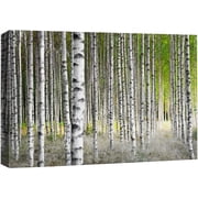 wall26 Canvas Print Wall Art White Birch Trees in Green Forest Nature Wilderness Photography Modern Art Rustic Scenic Colorful Multicolor for Living Room, Bedroom, Office - 32"x48"