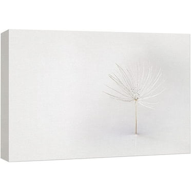 wall26 Canvas Print Wall Art White Duotone Pastel Dandelion Flower Nature Floral Photography Realism Botanical Wilderness Zen Rustic Colorful Decorative for Living Room, Bedroom, Office - 16&quot;x24