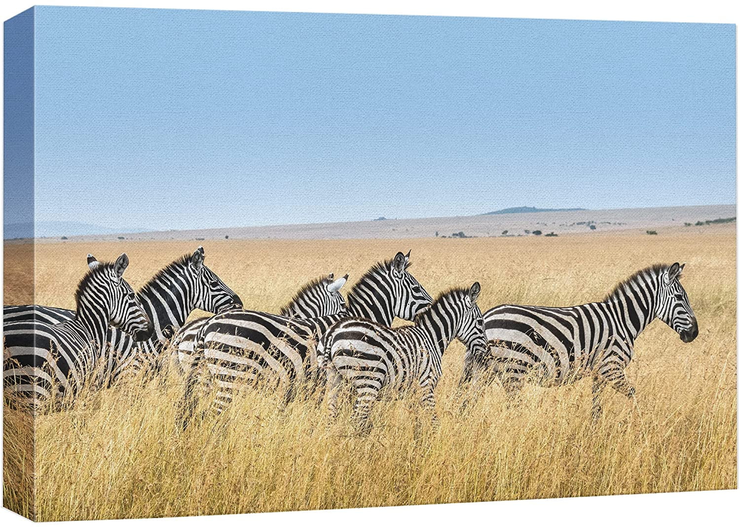 wall26 Canvas Print Wall Art Wild African Safari Jungle Savanna Zebra ...