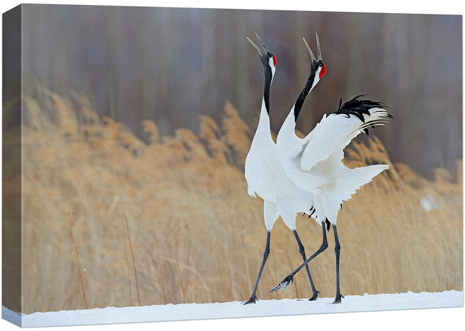 wall26 Canvas Print Wall Art Winter Countryside Farm Sandhill Crane ...