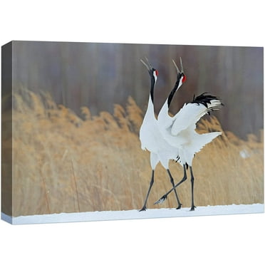 wall26 Canvas Print Wall Art Winter Countryside Farm Sandhill Crane Bird Nature Animals Photography Realism Rustic Scenic Landscape Wilderness Zen Colorful for Living Room, Bedroom, Office - 12&quot;