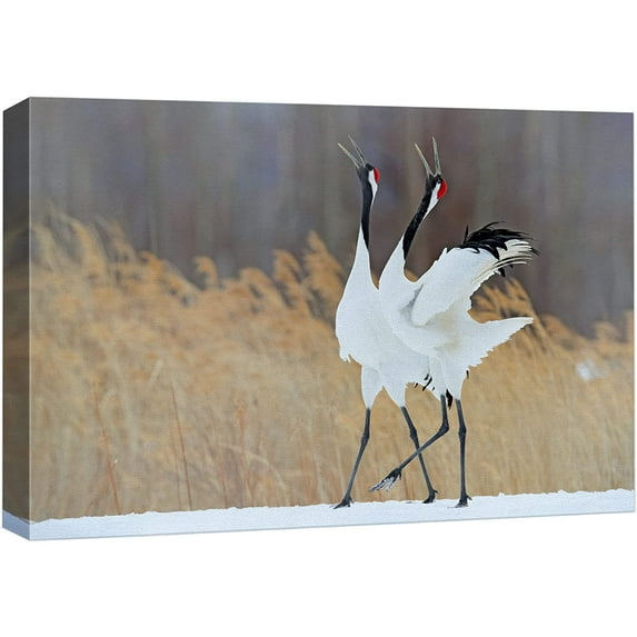 wall26 Canvas Print Wall Art Winter Countryside Farm Sandhill Crane Bird Nature Animals Photography Realism Rustic Scenic Landscape Wilderness Zen Colorful for Living Room, Bedroom, Office - 12"