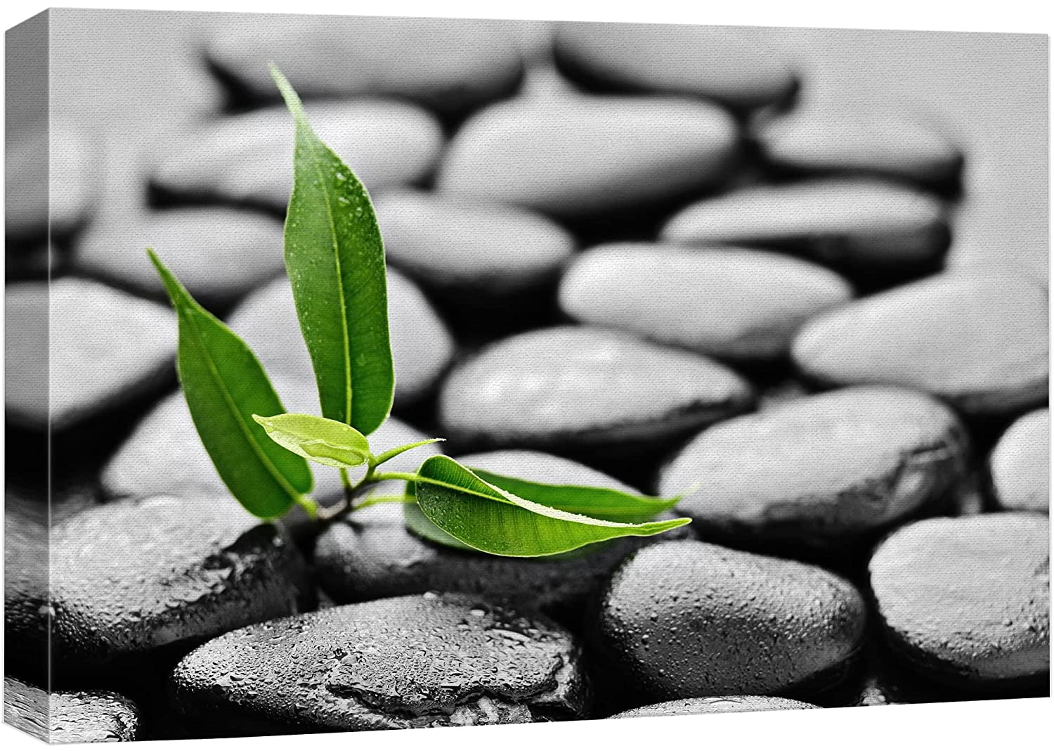 Modern Geometric Zen Stones Canvas Print in Black and Green