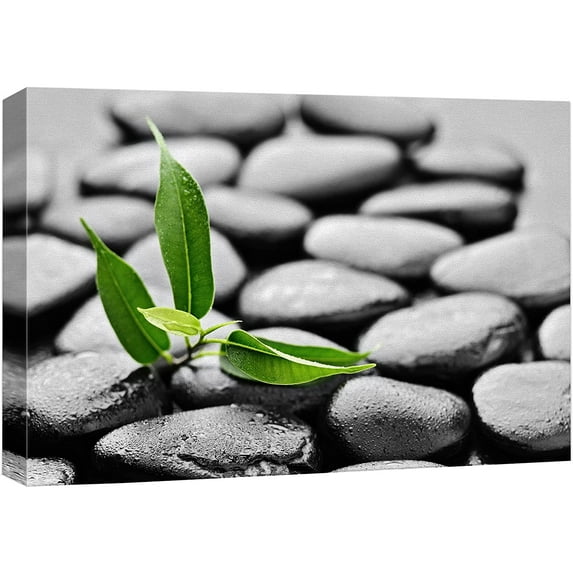 wall26 Canvas Print Wall Art Zen Meditation Black Beach Pebble Green Forest Plant Nature Wilderness Photography Realism Rustic Landscape Colorful Multicolor for Living Room, Bedroom, Office - 32"