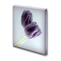 wall26 - Canvas Prints Wall Art - 2 Purple Tulips | Modern Wall Decor/Home Decoration Stretched Gallery Canvas Wrap Giclee Print. Ready to Hang - 24" x 24"