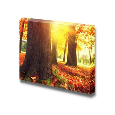 wall26 - Canvas Prints Wall Art - Autumnal Park. Autumn Trees and Leaves in Sun Light | Modern Wall Decor/Home Decoration Stretched Gallery Canvas Wrap Giclee Print. Ready to Hang - 24&quot; x 36&quo