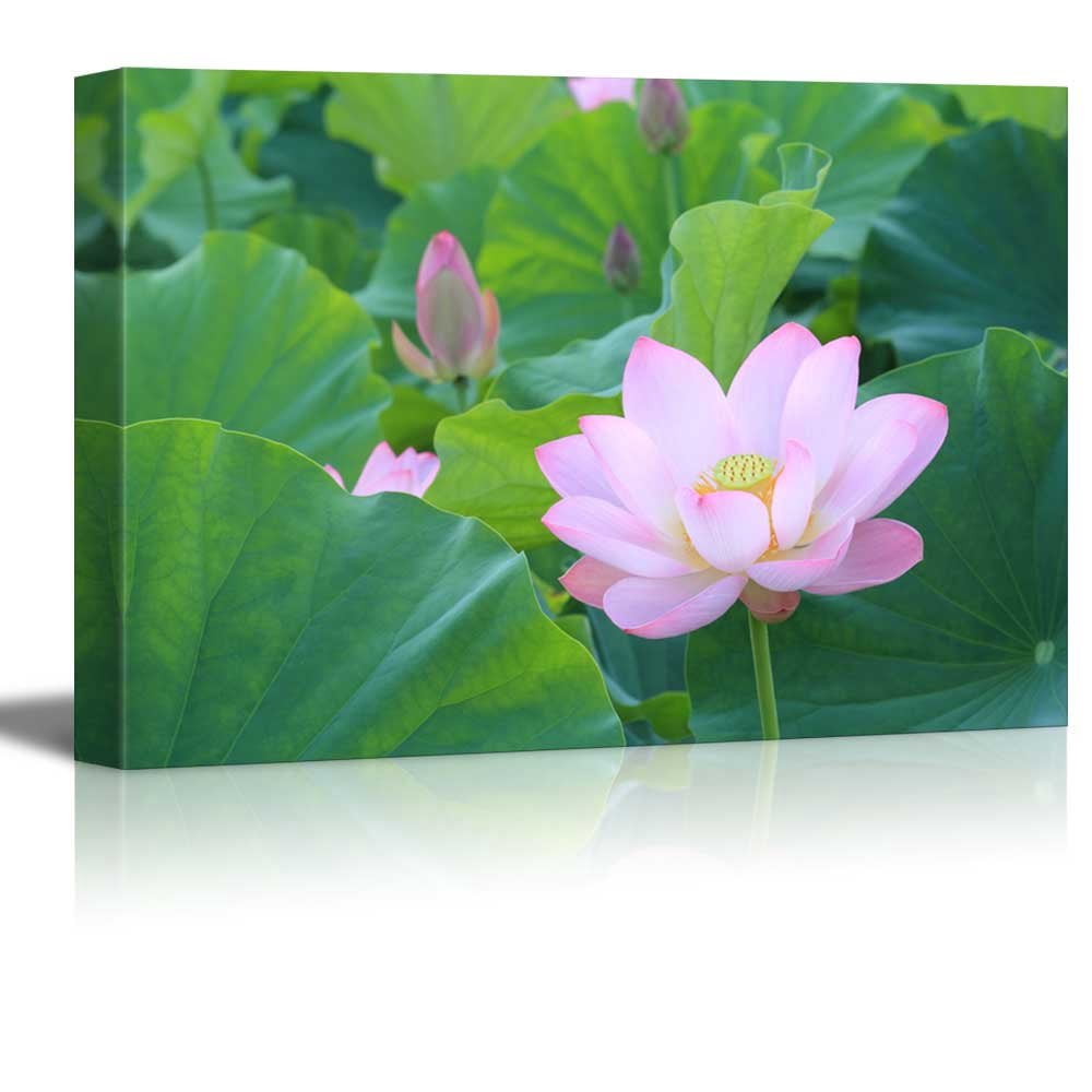 wall26 - Canvas Prints Wall Art - Blooming Lotus Flower Surrounded by ...