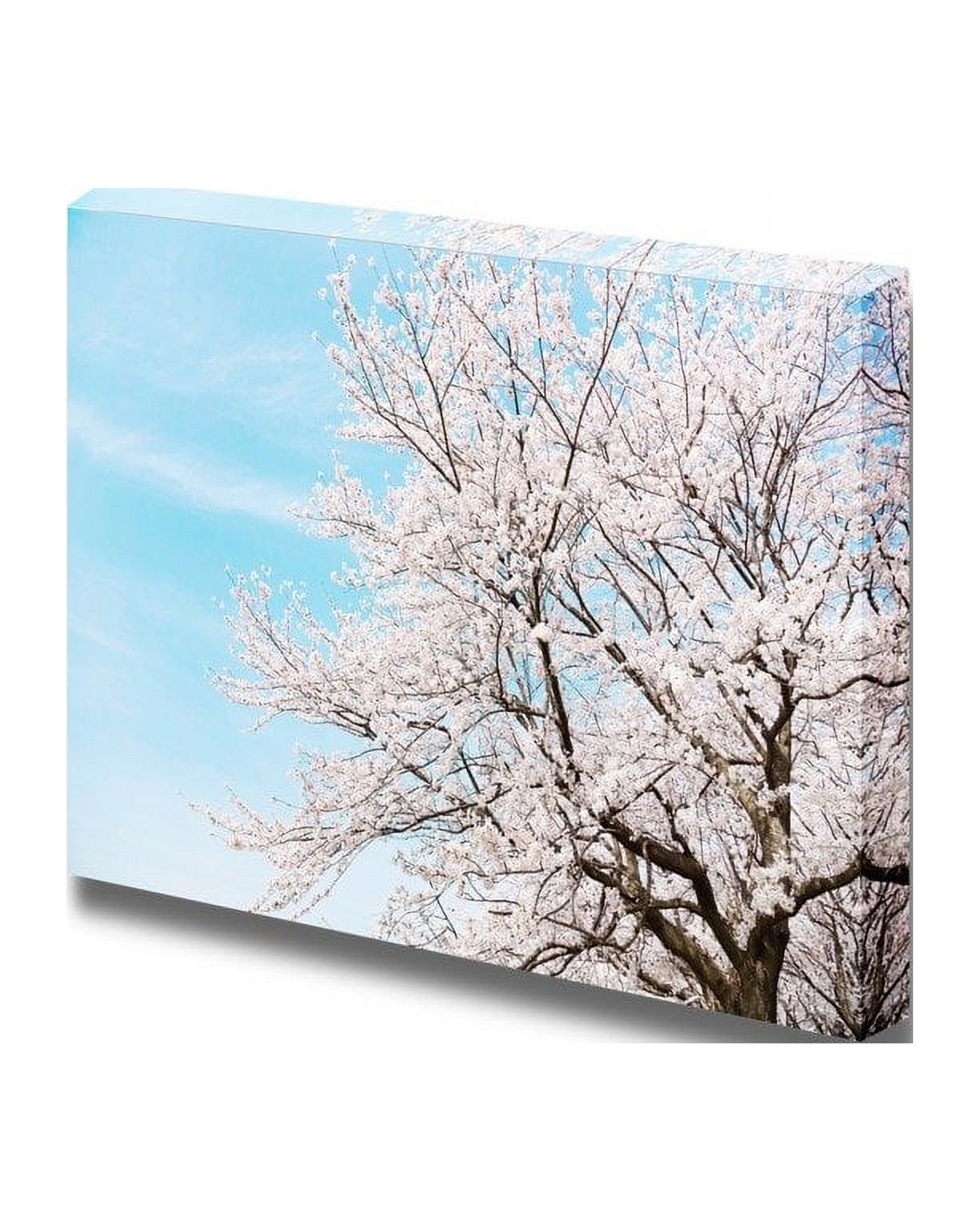wall26 Canvas Prints Wall Art Cherry Blossom Modern Wall Decor/Home Decoration Stretched