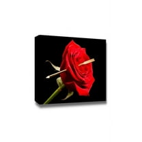 wall26 - Canvas Prints Wall Art - Cupid's Arrow Pierced Through The Heart of a Red Rose | Modern Wall Decor/Home Decoration Stretched Gallery Canvas Wrap Giclee Print. Ready to Hang - 12" x 18&q