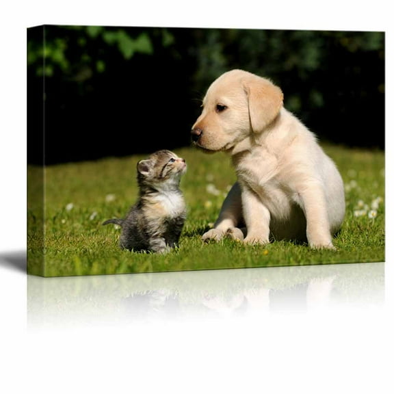 wall26 - Canvas Prints Wall Art - Dog and Cat | Modern Wall Decor/Home Decoration Stretched Gallery Canvas Wrap Giclee Print. Ready to Hang - 16" x 24"