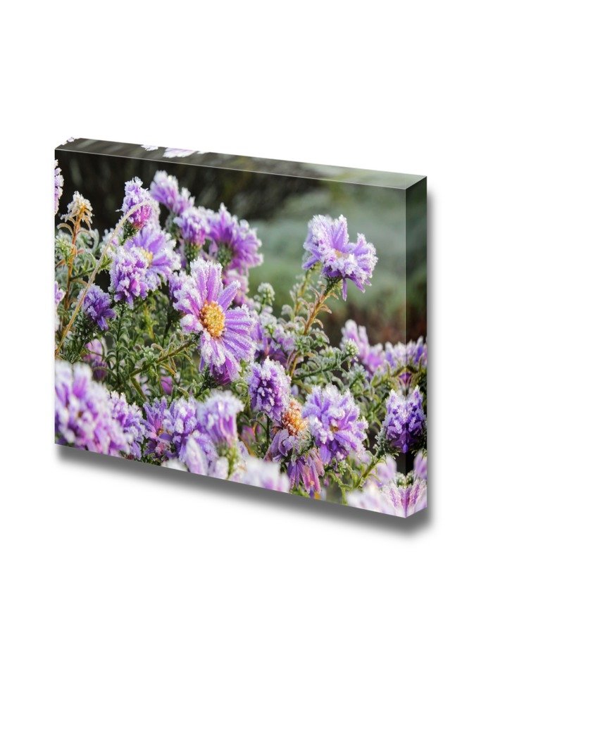 wall26 - Canvas Prints Wall Art - Flower with Hoarfrost in Autumn ...