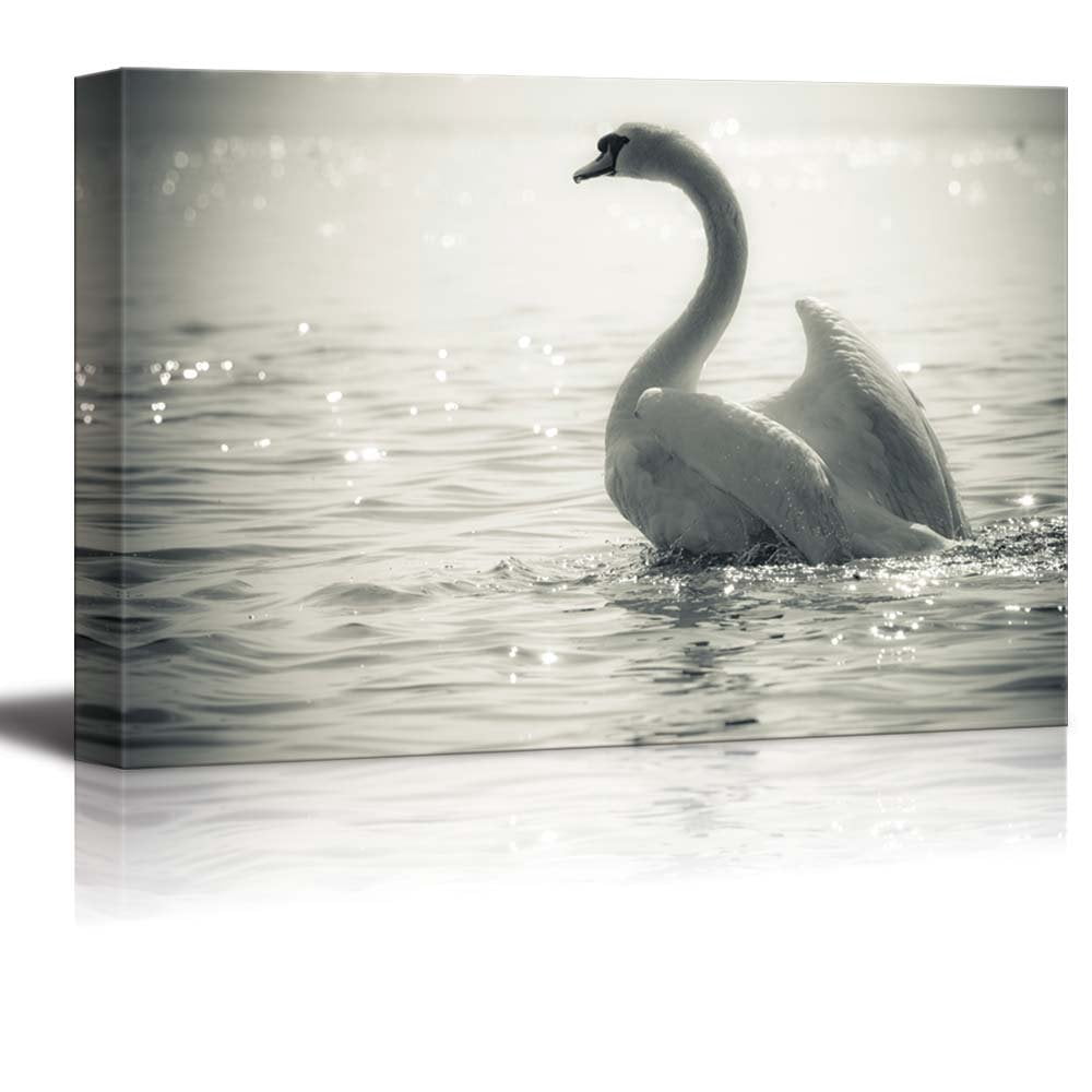 wall26 - Canvas Prints Wall Art - Graceful Swan on a Lake in Black and ...