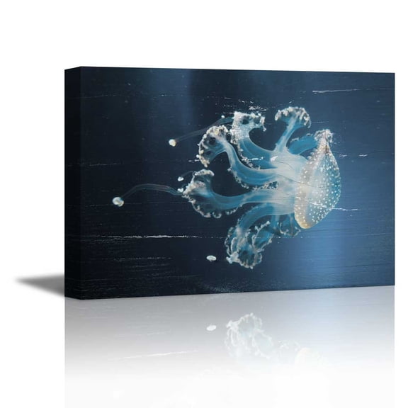 wall26 - Canvas Prints Wall Art - Jellyfish Under The Ocean on Vintage Wood Background - 12" x 18"