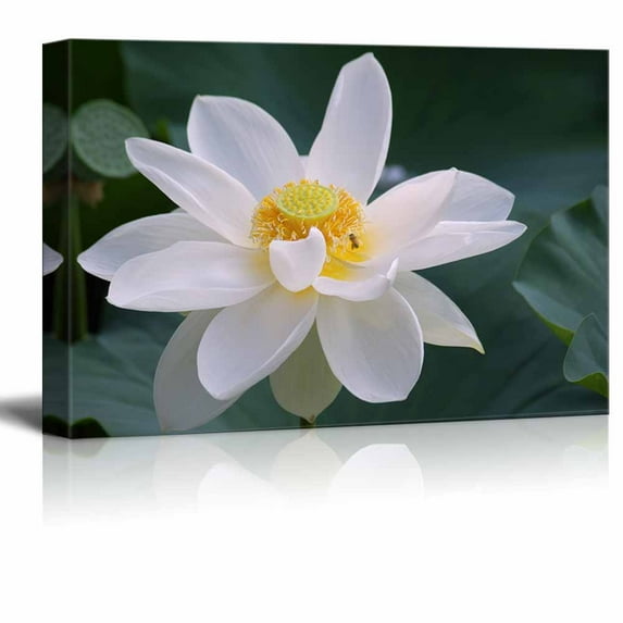 wall26 - Canvas Prints Wall Art - Lotus Flower with Bee | Modern Wall Decor/Home Decoration Stretched Gallery Canvas Wrap Giclee Print. Ready to Hang - 24" x 36"