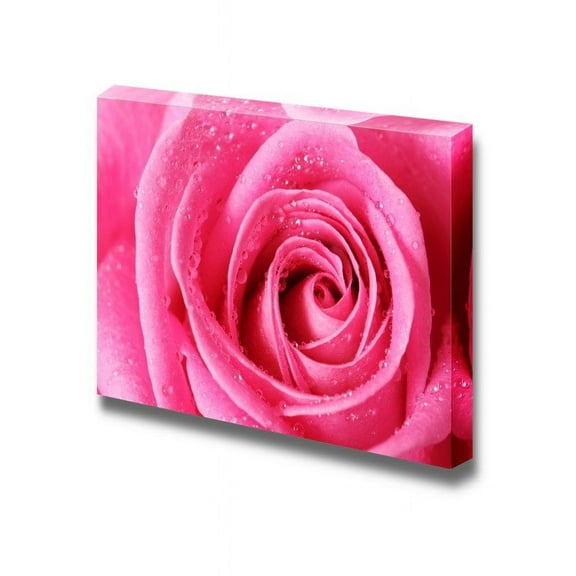 wall26 - Canvas Prints Wall Art - Pink Rose with Water Droplets Close Up | Modern Wall Decor/Home Decoration Stretched Gallery Canvas Wrap Giclee Print. Ready to Hang - 12" x 18"