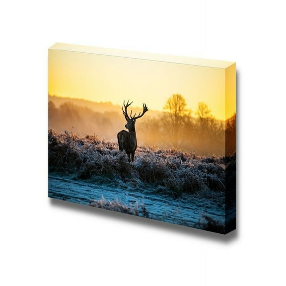 wall26 - Canvas Prints Wall Art - Red Deer in Morning Sun | Modern Wall Decor/Home Decoration Stretched Gallery Canvas Wrap Giclee Print. Ready to Hang - 12" x 18"