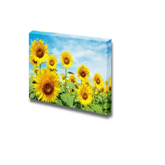 wall26 - Canvas Prints Wall Art - Sunflower Field under Sunny Sky | Modern Wall Decor/Home Decoration Stretched Gallery Canvas Wrap Giclee Print. Ready to Hang - 16" x 24"