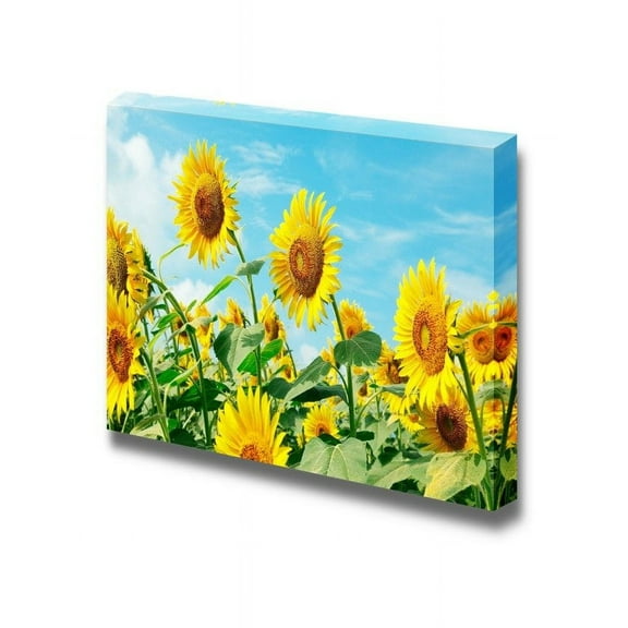wall26 - Canvas Prints Wall Art - Sunflower Field Under Sunny Sky | Modern Wall Decor/Home Decoration Stretched Gallery Canvas Wrap Giclee Print. Ready to Hang - 12" x 18"