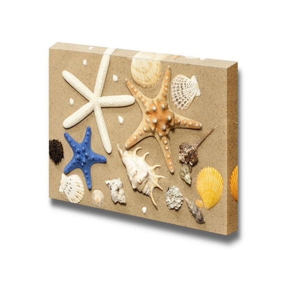 wall26 - Canvas Prints Wall Art - Tropical Seashells and Starfish Washed Ashore a Sandy Beach | Modern Wall Decor/Home Decoration Stretched Gallery Canvas Wrap Giclee Print. Ready to Hang - 12"