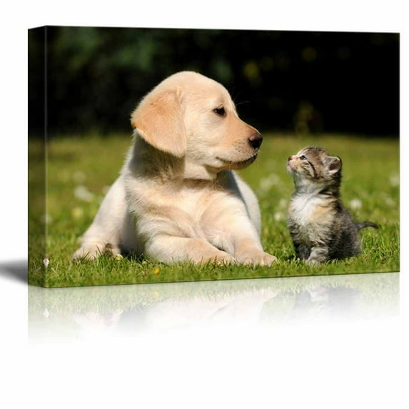 wall26 - Canvas Wall Art - A Dog and a Cat - Giclee Print Gallery Wrap Modern Home Art Ready to Hang - 24" x 36"