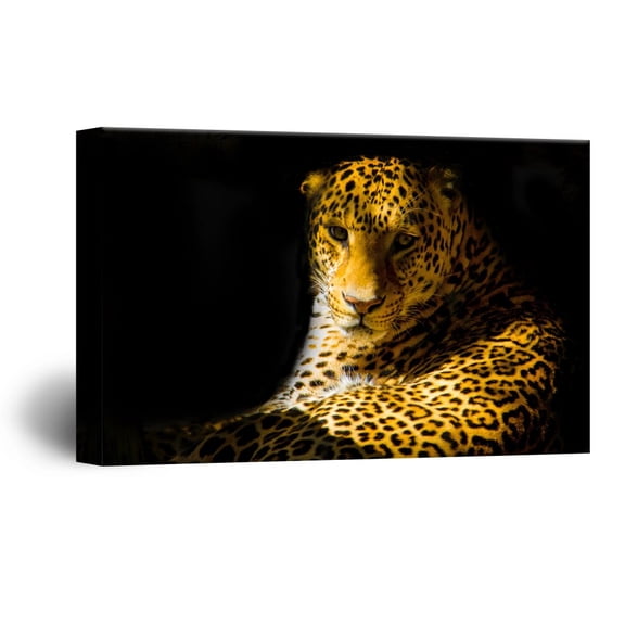 wall26 Canvas Wall Art - A Leopard from Black Background - Giclee Print Gallery Wrap Modern Home Art Ready to Hang - 24x36 inches