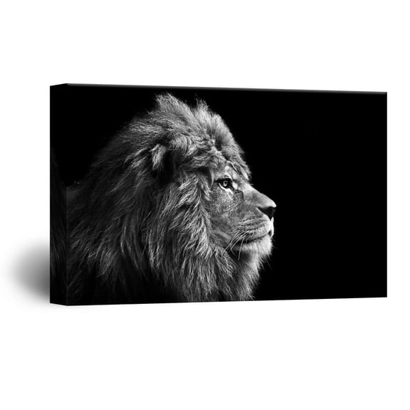 wall26 Canvas Wall Art - A Lion on Balck Background - Giclee Print Gallery Wrap Modern Home Art Ready to Hang - 24x36 inches