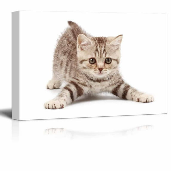 wall26 - Canvas Wall Art - A Little Cat - Giclee Print Gallery Wrap Modern Home Art Ready to Hang - 12" x 18"