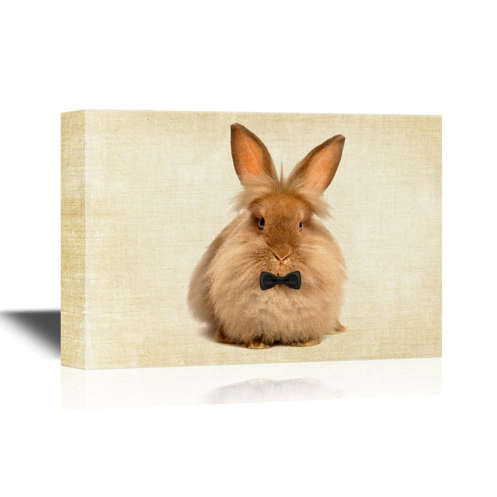 wall26 - Canvas Wall Art - A Lying Chocolate Colored Lionhead Bunny ...