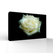 wall26 Canvas Wall Art Beautiful Flowers Pictures Home Wall Decorations for Bedroom Living Room Paintings Canvas Prints Framed - 32x48 inches